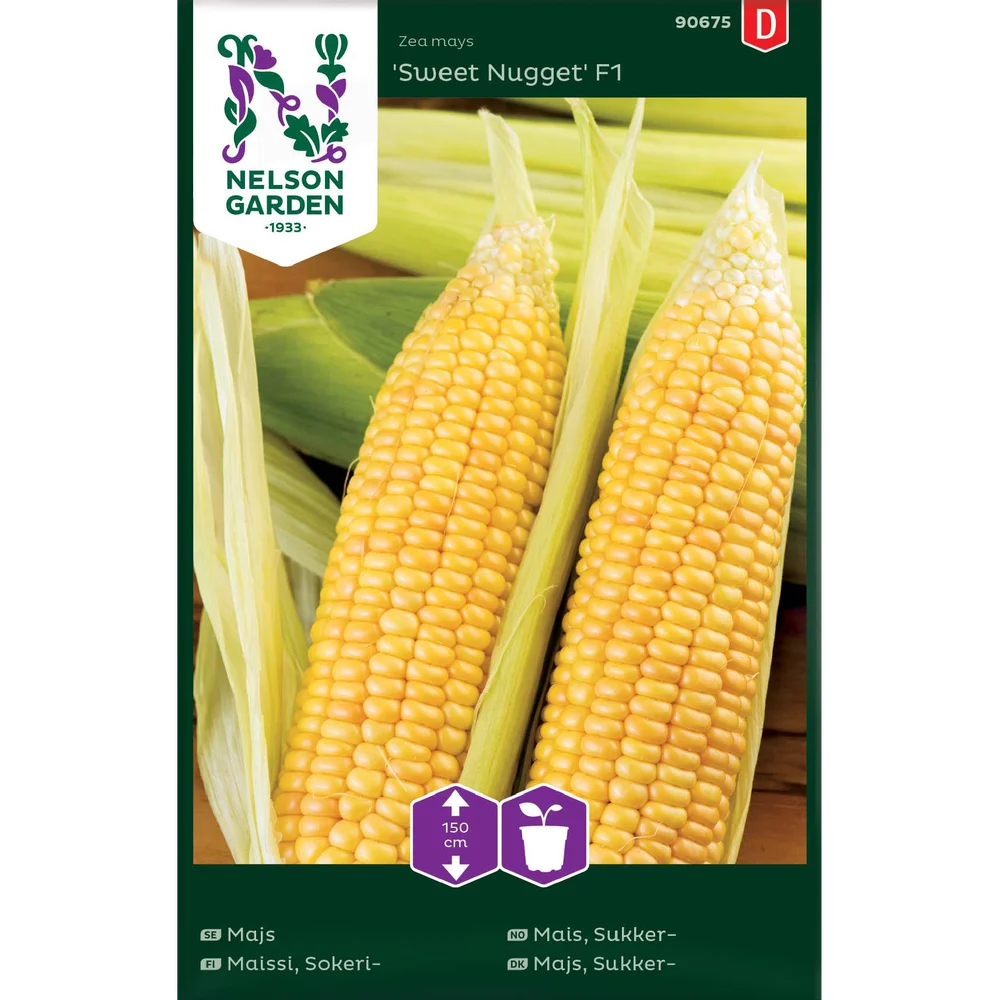 Porsjonsfrø mais sukker- sweetie v:1238666 Porsjonsfrø mais sukker- sweetie v:1238666