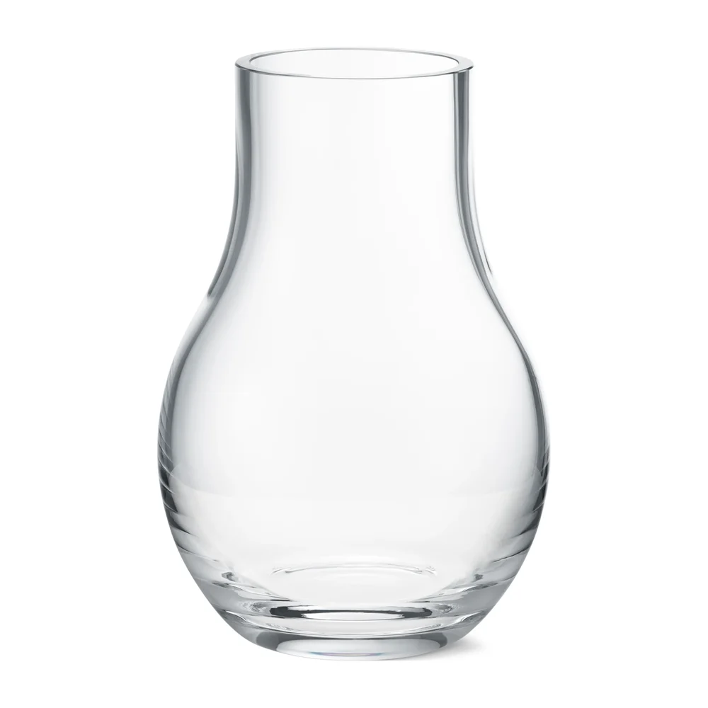 Cafu vase klar v:2831620 Cafu vase klar v:2831620