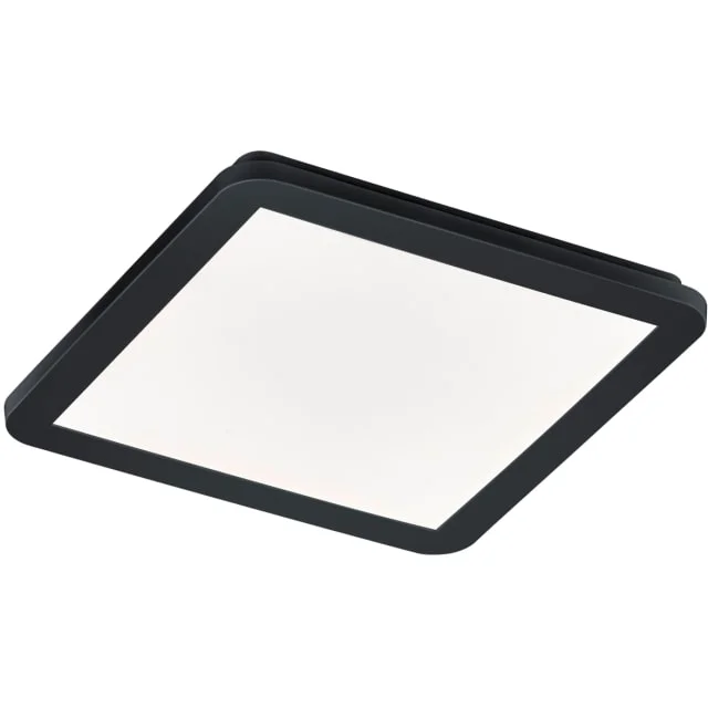 Trio Lighting Camillus taklampe, sort, 30x30 cm | R62931832